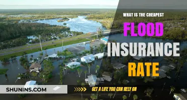 Flood Insurance: Cheapest Rates and Coverage Explained