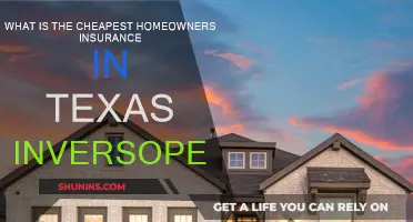 Best Cheap Home Insurance in Texas: In-Depth Guide