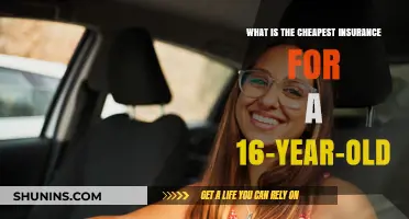 Affordable Auto Insurance Options for 16-Year-Old Drivers