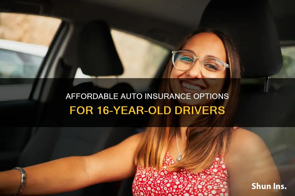 what is the cheapest insurance for a 16-year-old