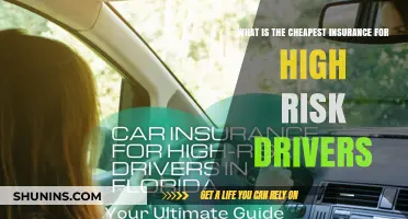 High-Risk Drivers: How to Get Affordable Insurance