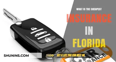Best Affordable Insurance Options in Florida