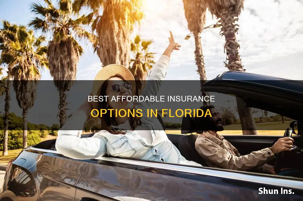 what is the cheapest insurance in Florida