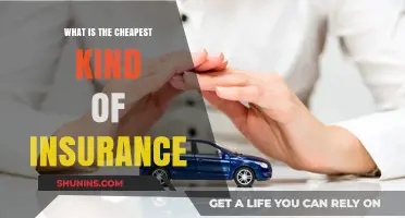 Affordable Insurance: What's the Cheapest Option?