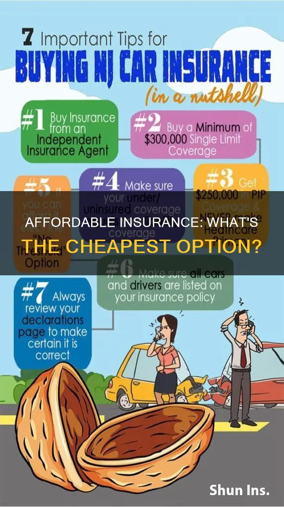 what is the cheapest kind of insurance