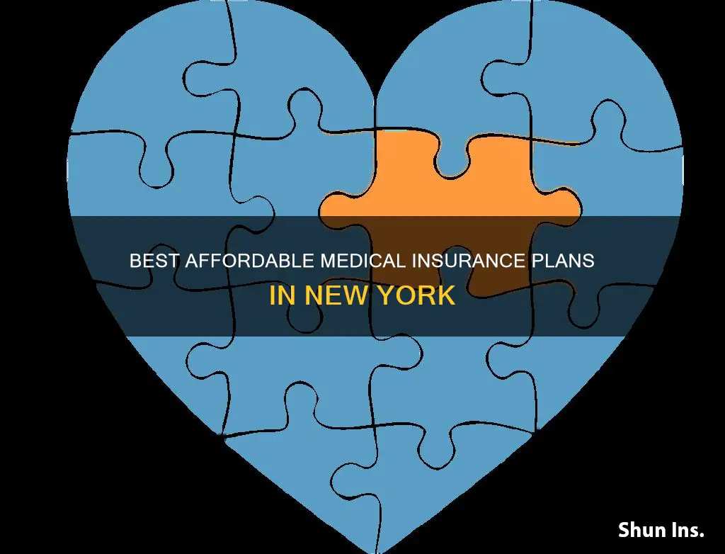 what is the cheapest medical insurance in ny