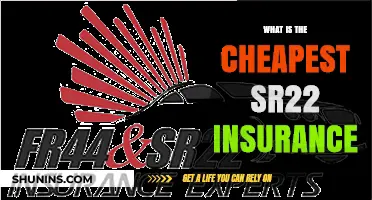 Affordable SR22 Insurance: Finding the Cheapest Rates and Providers