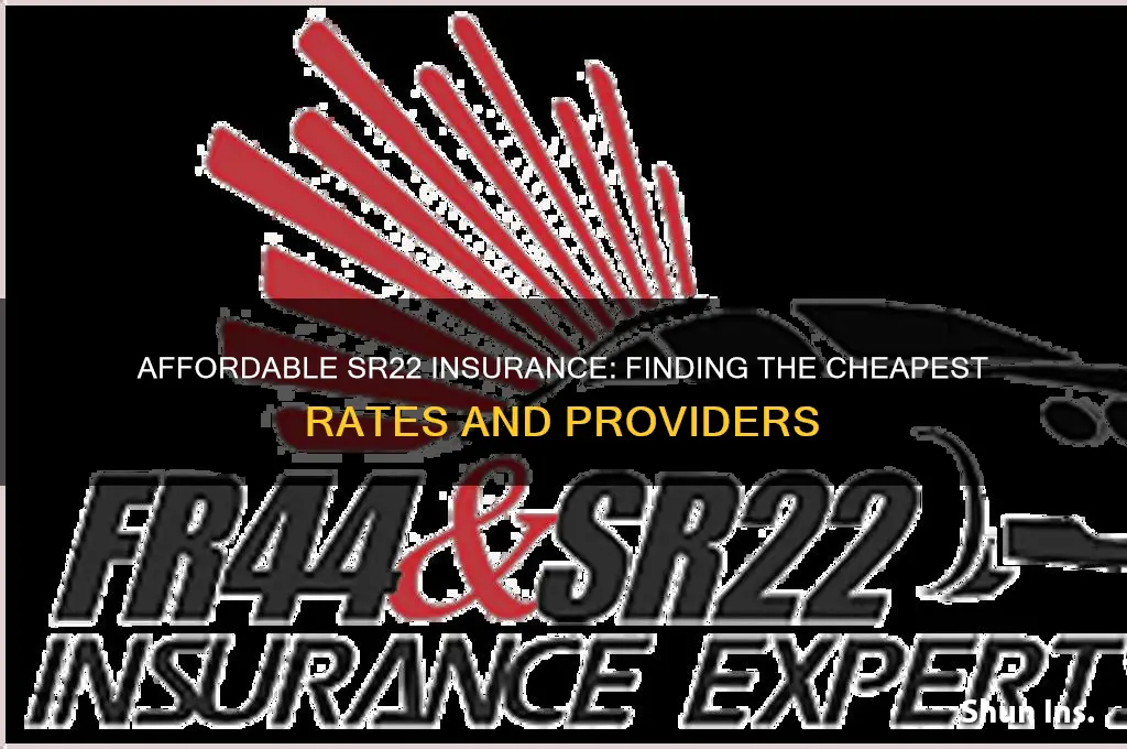 what is the cheapest sr22 insurance