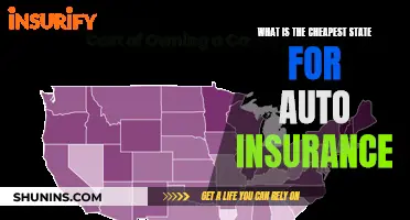 Auto Insurance: Finding the Cheapest State for Your Car