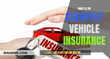 Affordable Auto Insurance: Finding the Cheapest Rates