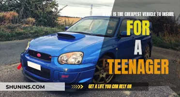 Cheapest Teen Auto Insurance Options