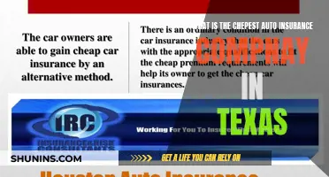 Best Cheap Auto Insurance in Texas