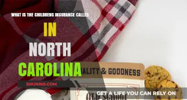 North Carolina's Children's Health Insurance Program: What You Need to Know
