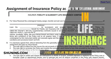 Understanding the Role of Collateral Agreements in Life Insurance