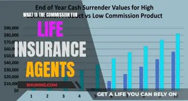 Unveiling the Commission Structure: Life Insurance Agent Earnings Explained