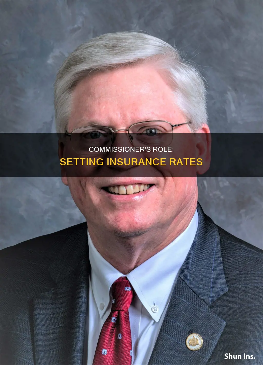 what is the commissioner