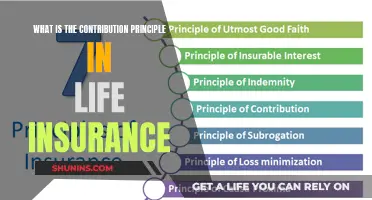 Understanding the Contribution Principle in Life Insurance: A Comprehensive Guide