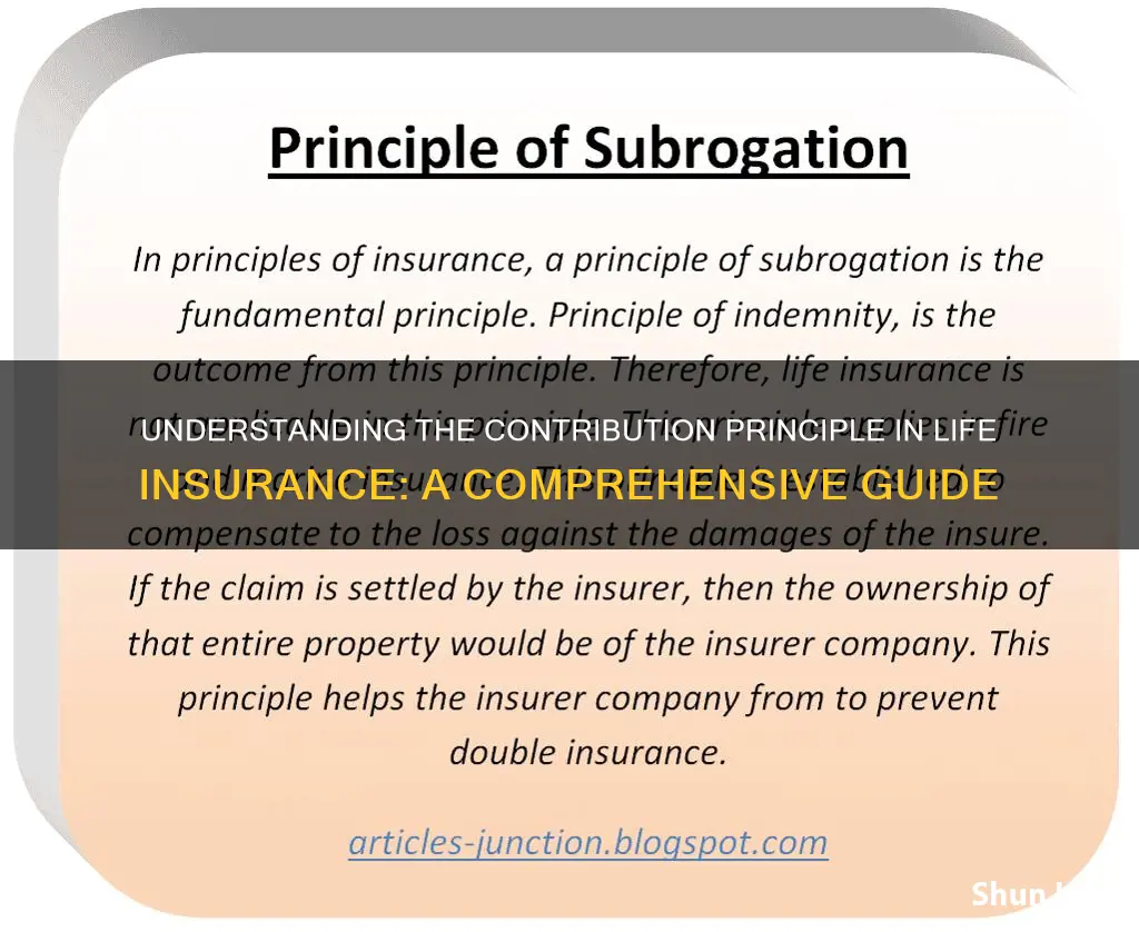 what is the contribution principle in life insurance