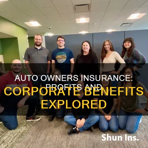 what is the corporate profit for auto owners insurance