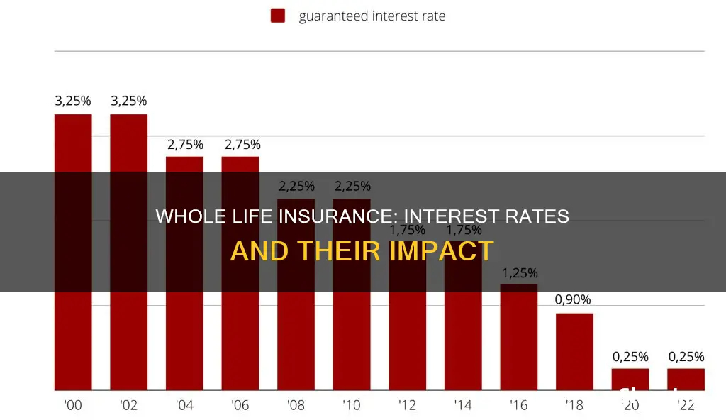 what is the current interest rate for whole life insurance