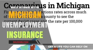 Michigan Unemployment Insurance: Current Rates Explained