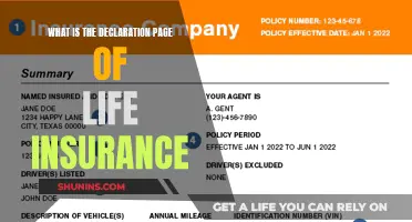 Understanding the Declaration Page: Your Life Insurance Summary