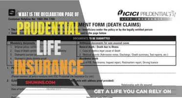 Understanding Prudential Life Insurance: The Declaration Page Explained