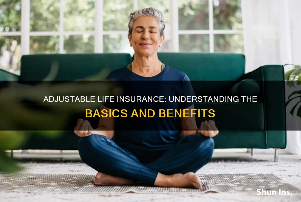 what is the definition of adjustable life insurance