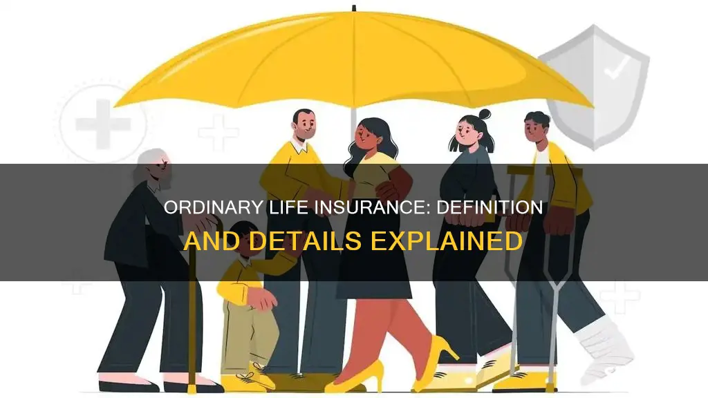what is the definition of ordinary life insurance