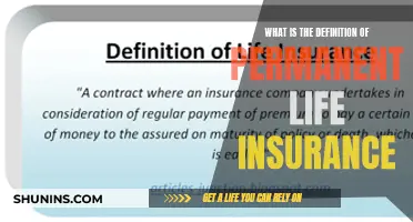 Understanding Permanent Life Insurance: A Comprehensive Definition