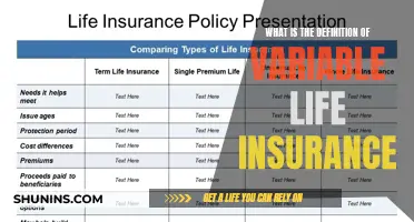 Understanding Variable Life Insurance: A Comprehensive Definition