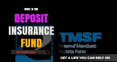 Understanding the Deposit Insurance Fund: Safeguarding Your Bank Savings