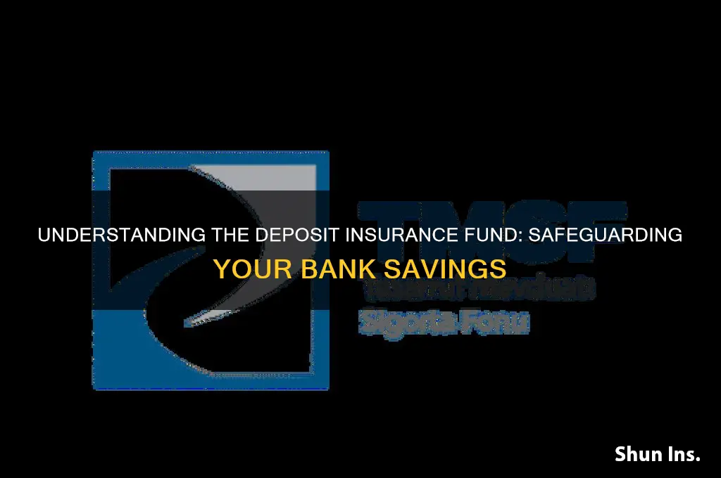 what is the deposit insurance fund