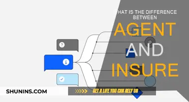 Understanding the Role of Agents and Insurers
