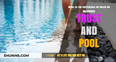 Insurance Trust vs Pool: What's the Difference?