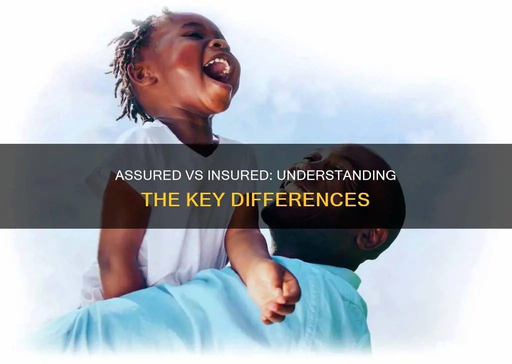 what is the difference between assured and insured