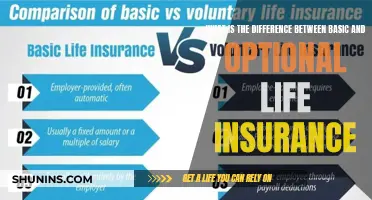 Life Insurance Basics: Understanding the Difference Between Basic and Optional Coverage