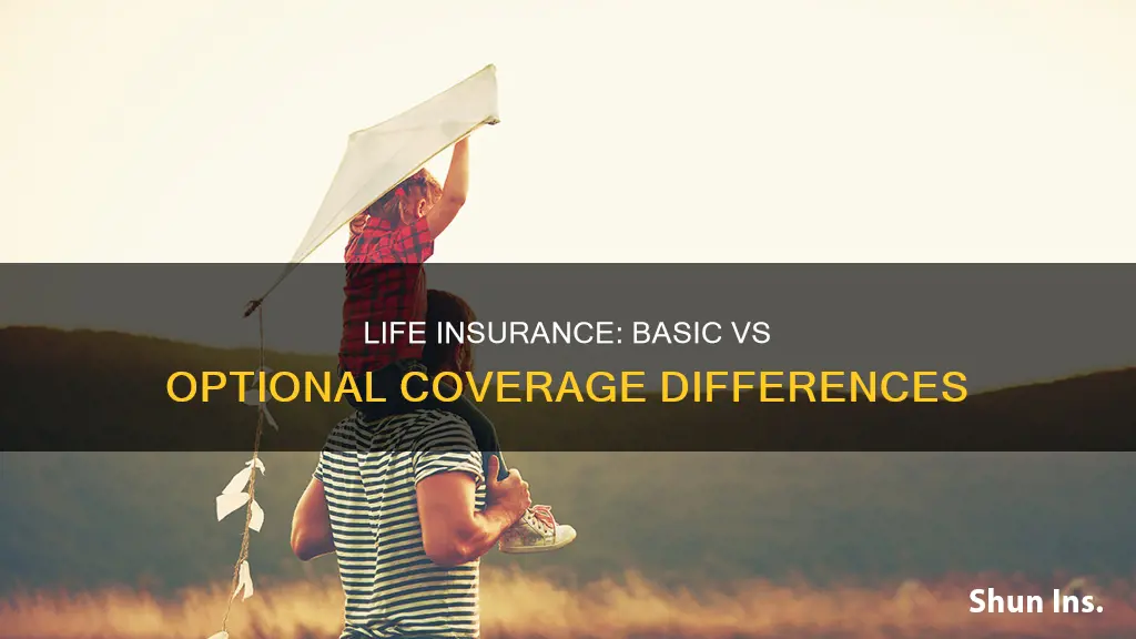 what is the difference between basic and optional life insurance