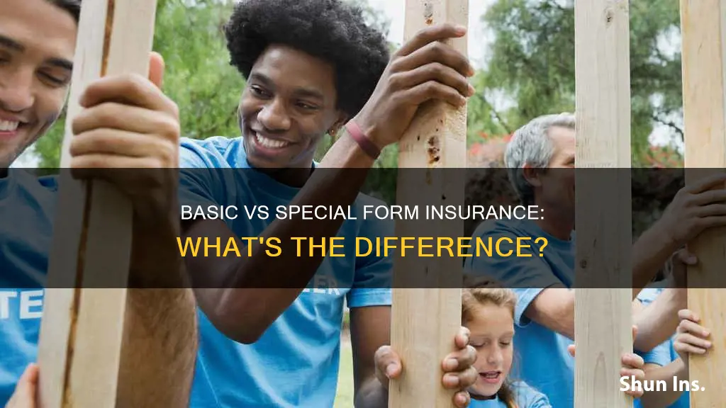 what is the difference between basic and special form insurance