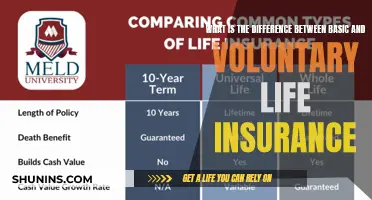 Understanding Life Insurance: Basic vs. Voluntary Coverage Explained