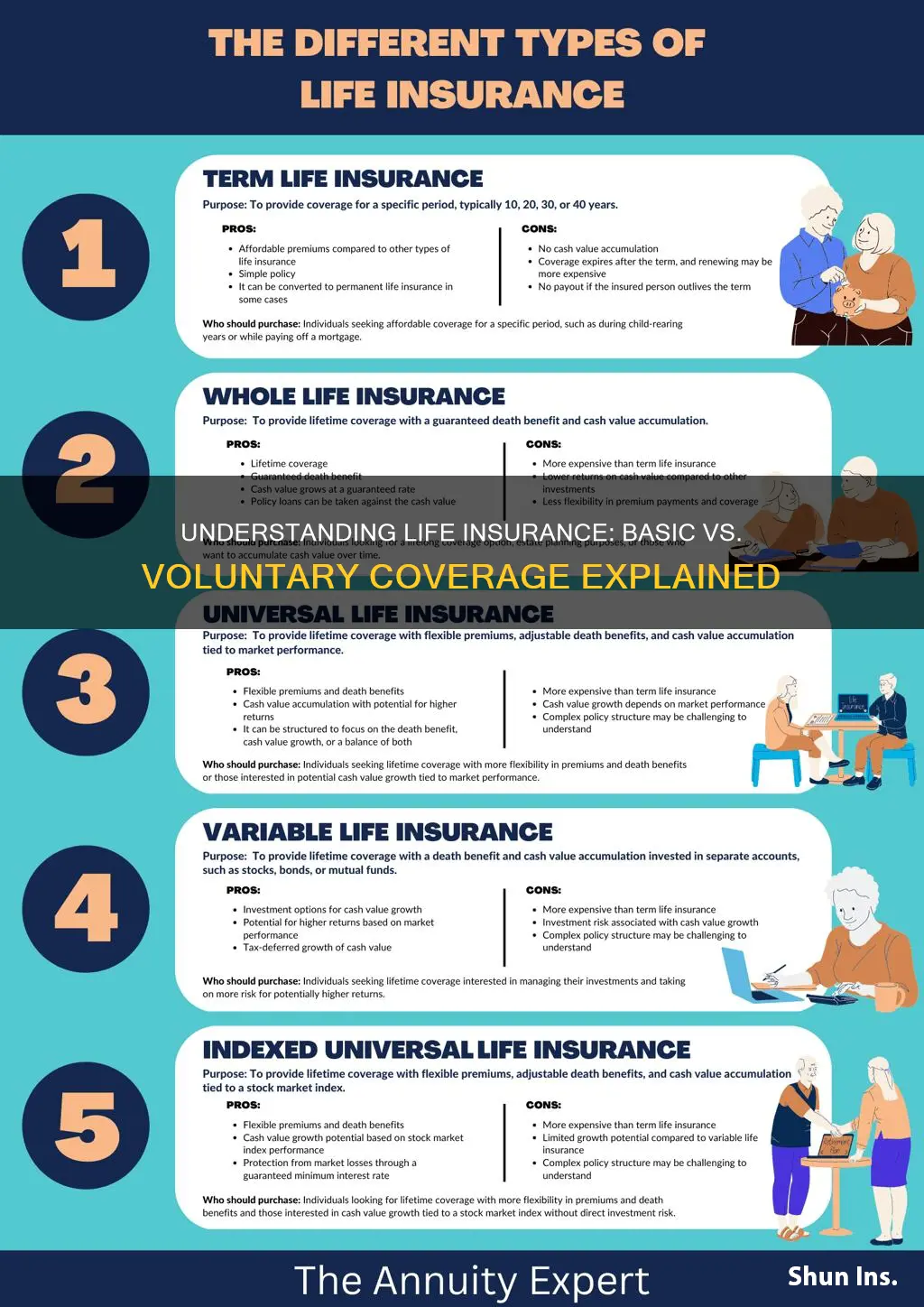 what is the difference between basic and voluntary life insurance