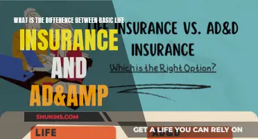 Life Insurance Basics: Understanding Basic Coverage vs. AD&D