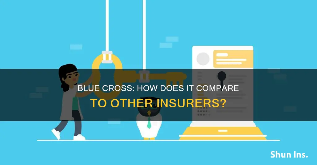 what is the difference between blue cross and other insurance
