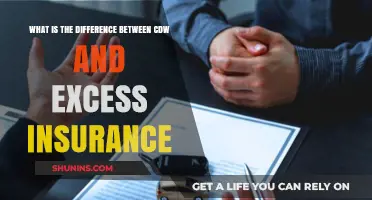 CDW vs Excess Insurance: What's the Difference?