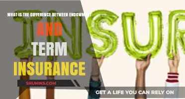 Endowment vs Term Insurance: Key Differences Explained