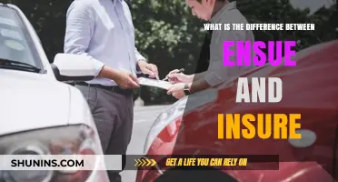 Ensue vs Insure: Understanding the Nuanced Difference