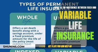 Fixed vs. Variable: Understanding Life Insurance Choices