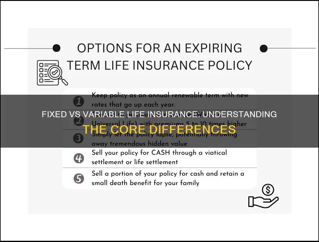 what is the difference between fixed and variable life insurance