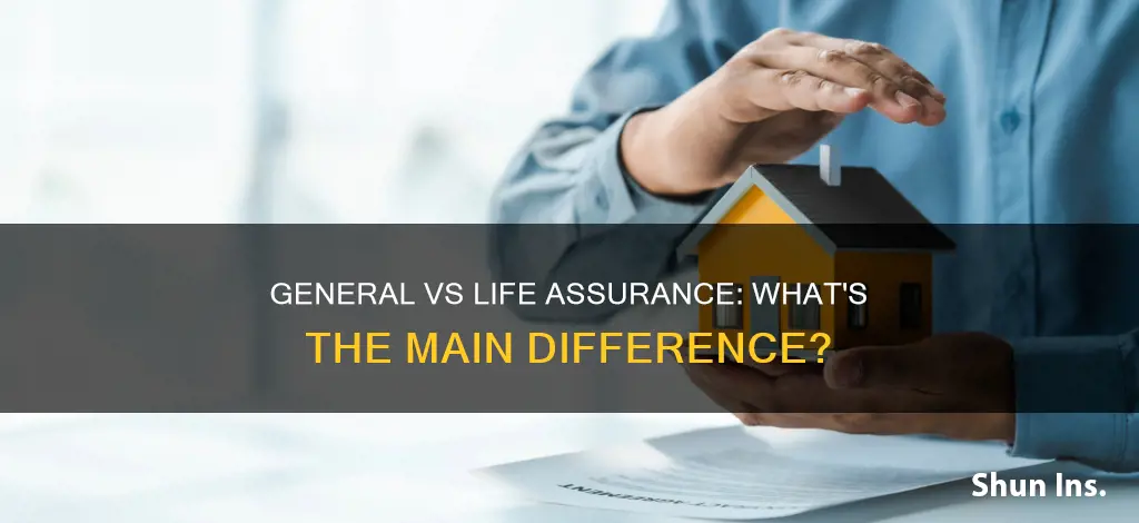 what is the difference between general insurance and life assurance