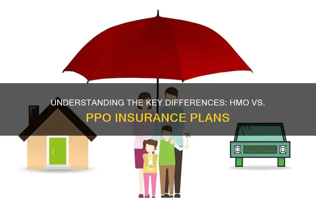 what is the difference between hbo and ppo insurance